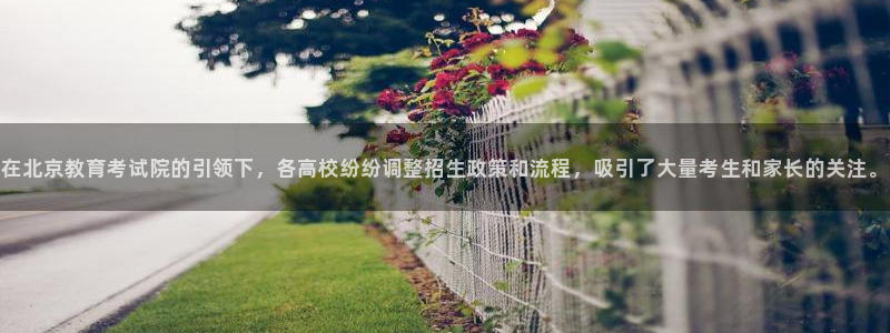 安信12软件介绍