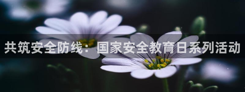 12月安信推荐