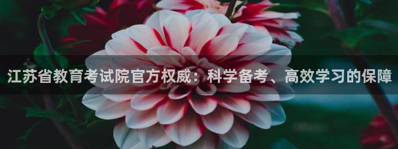 安信esp12k