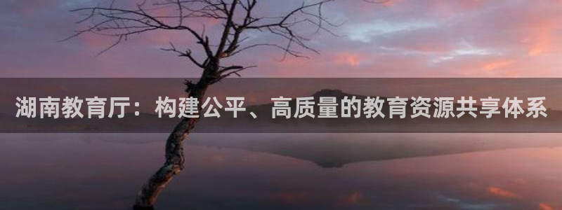 安信12官方网站查询