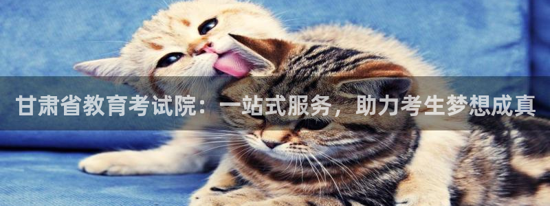 安信12代理