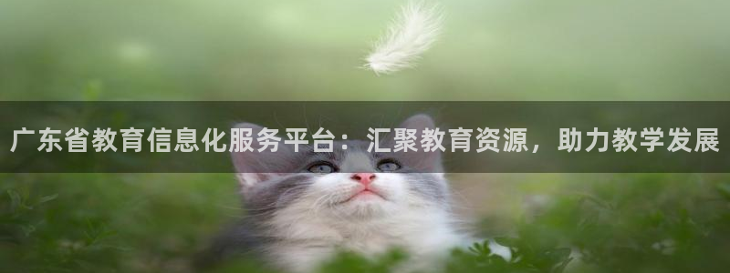 安信12级粉丝团福利