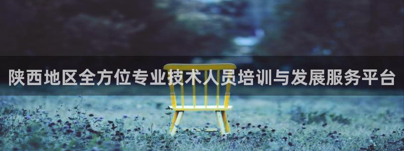 安信12主管