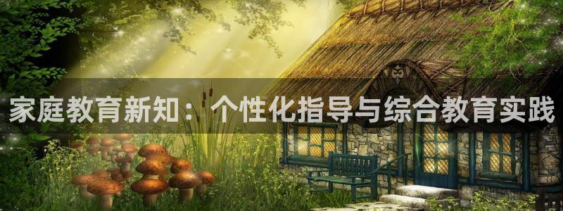 安信卓越12月