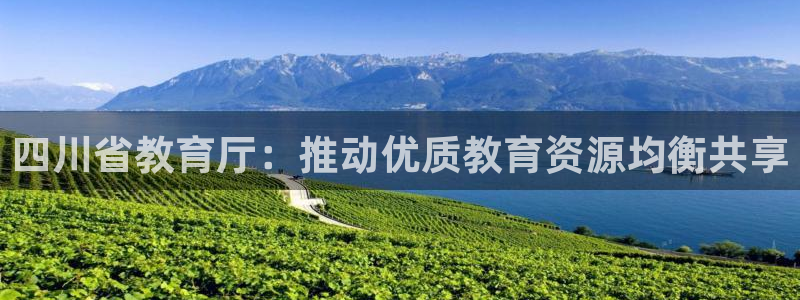 安信12月金股
