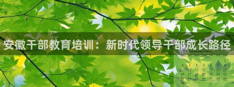 信安杯12