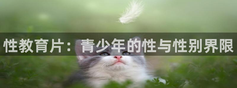 奇安信12流转场
