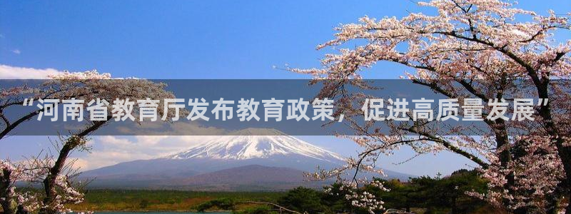 安信12主管