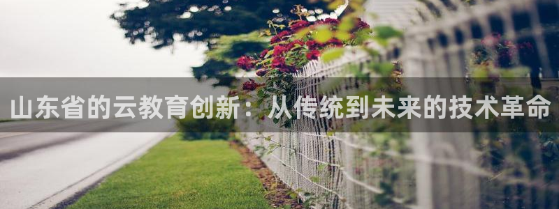 安信12是什么软件