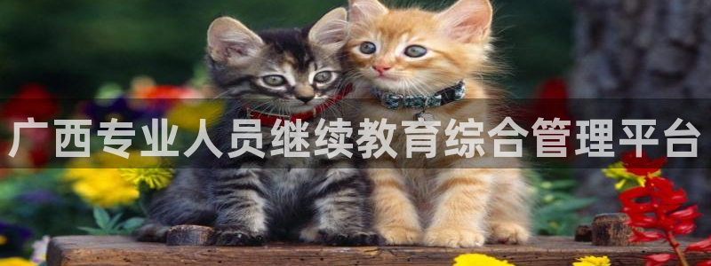安信12周年庆