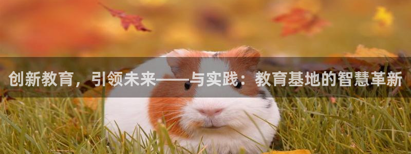 安信12主管