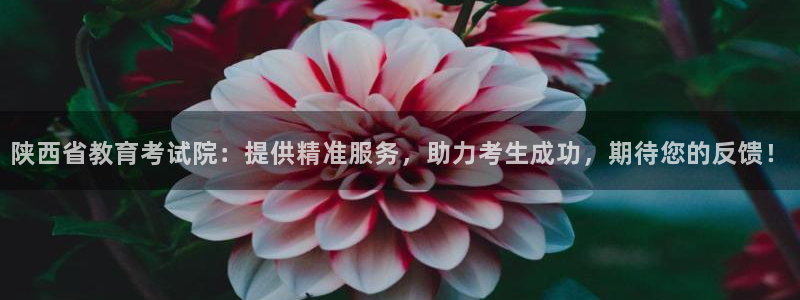 安信4特邀55 12