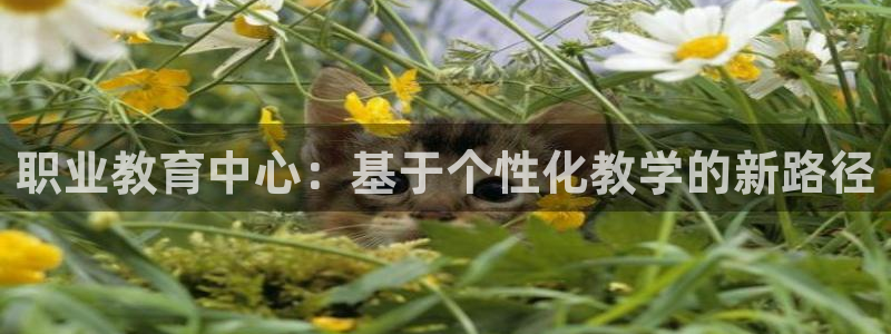 安信12级大众