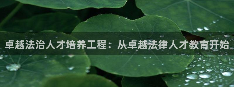 安信12平台介绍