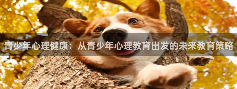 安信12是什么平台