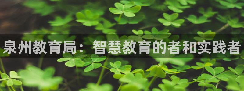 安信12负责人