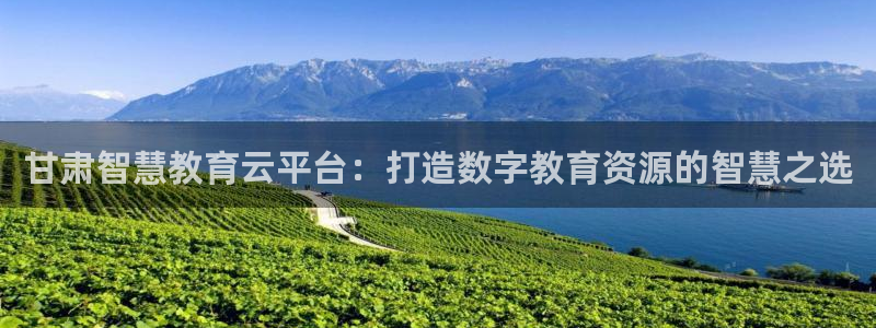 安信安翼 12账号
