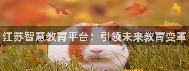 下载安信12