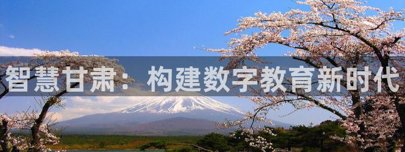 安信312 12