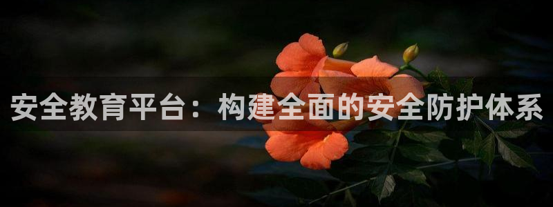 安信12