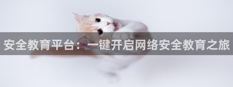 安信12是正规平台吗