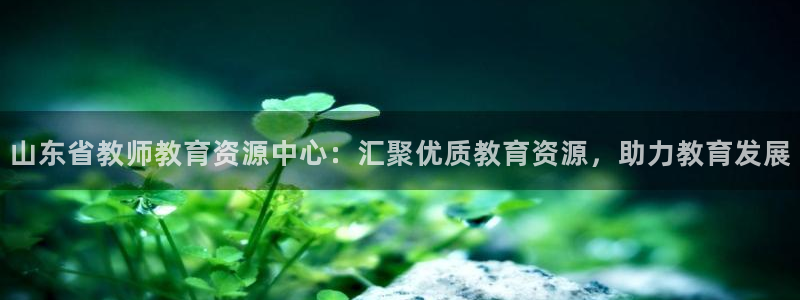 安信12怎么下载