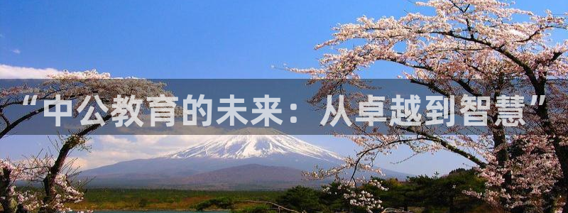 安信可12f12e