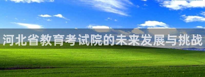 安信12网页版