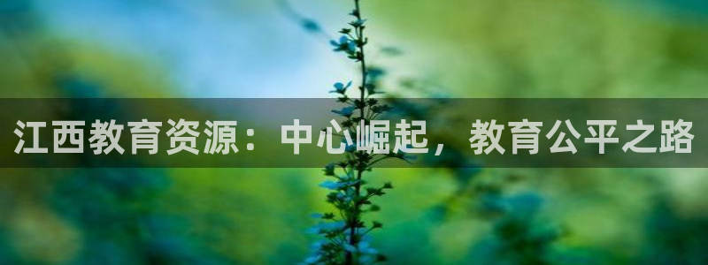 安信122853179Z空间