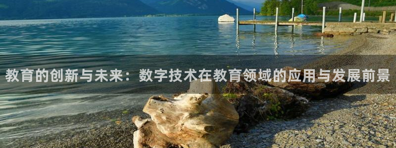 奇安信12流转场