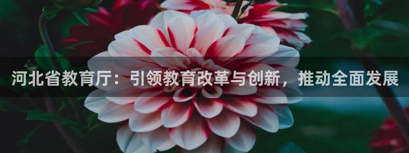 安信12月金股