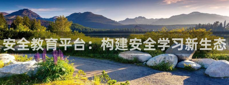 安信12代理