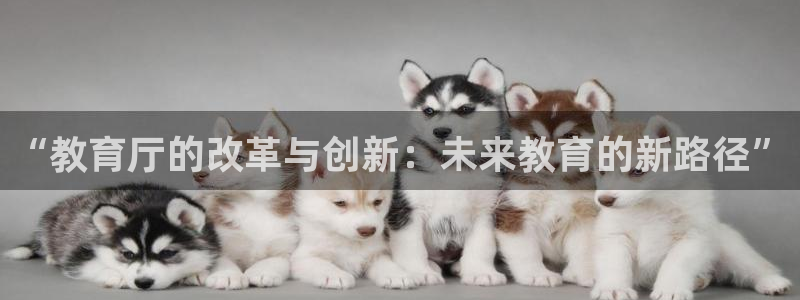 安信t12