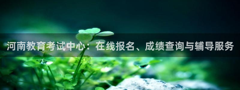 安卓12微信