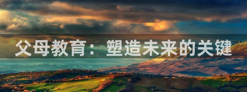 安信安翼 12账号