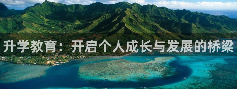 安信12赛车