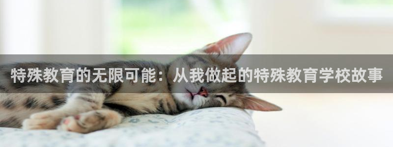 安信12娱乐代理