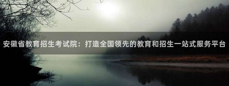 安信12是什么软件