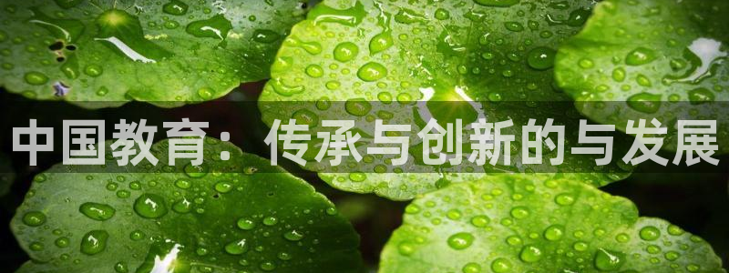 安信cwa12