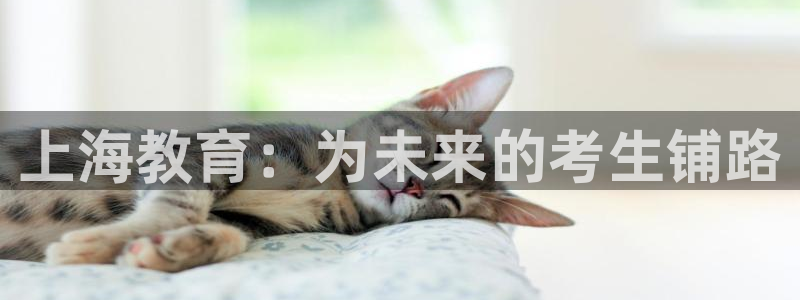 安信12如何开代理