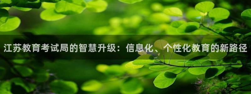 安信12专用挂机