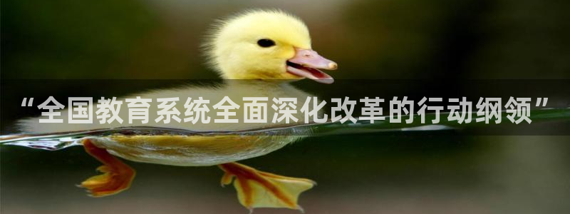 安信12app下载