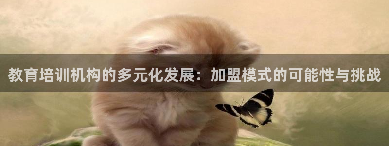 安信12位资金账号