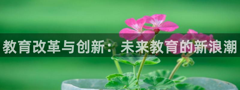 安信12是正规平台吗