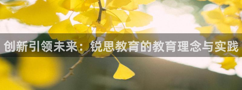 安信证券手机壳12