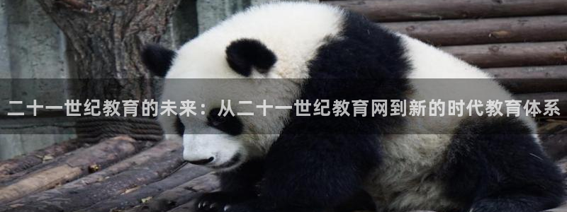 安信12平台介绍