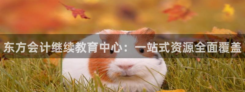 安信12娱乐代理