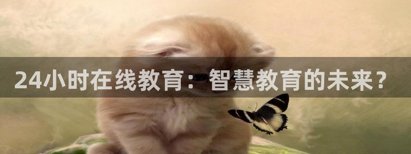 安信12官方网站查询