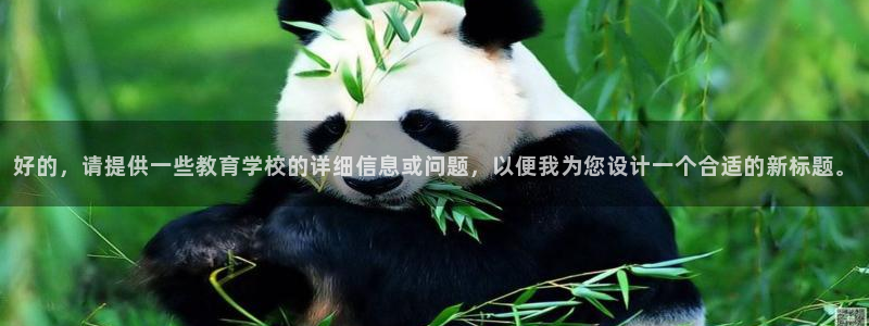 安信12娱乐平台