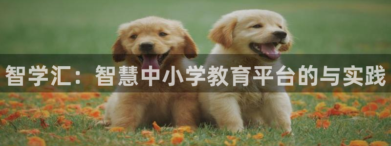 安信12娱乐招商探索空间